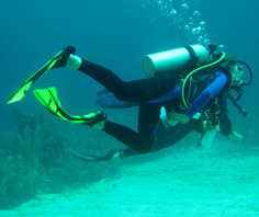 TROPICAL ISLAND DIVERS TROPICAL ISLAND DIVERS