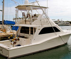 Deep Sea Fishing Deep Sea Fishing